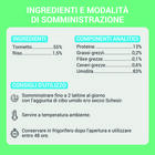 Schesir Cat Tonnetto in brodo 70 gr