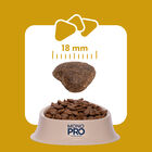 Monopro Dog Adult Medium&Large Grain Free Pollo 3 kg