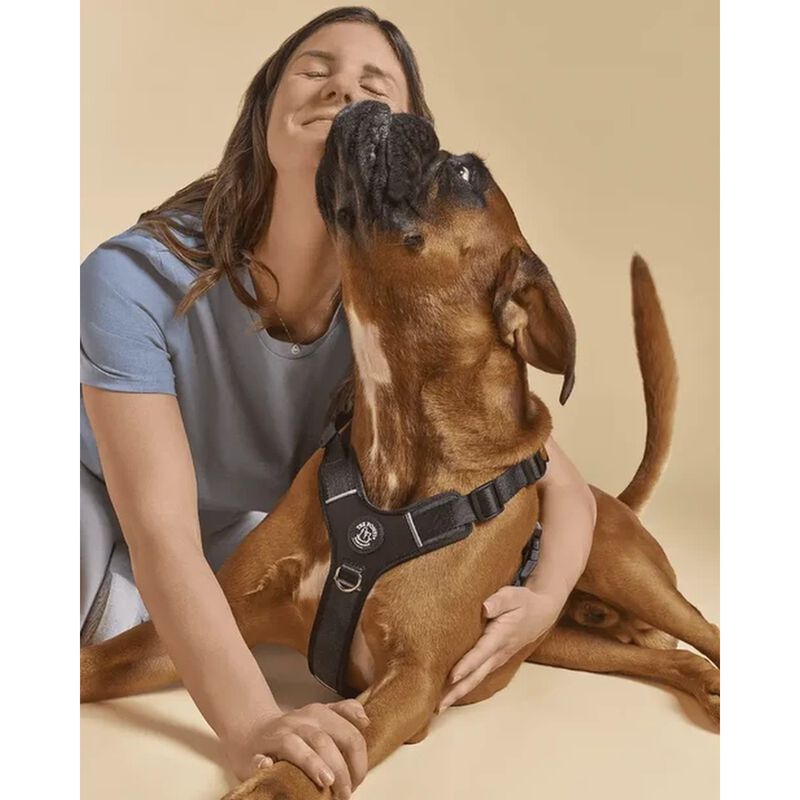 Tre Ponti Harmonia Pettorina per cani tg XL col. Nero