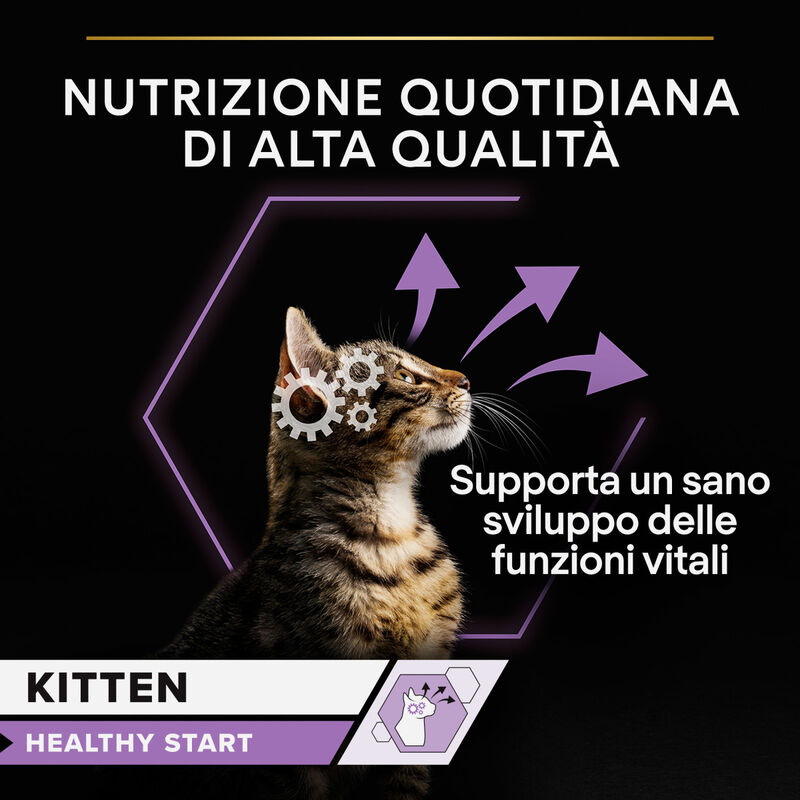 Purina Pro Plan Nutri Savour Cat Junior Pezzetti con Tacchino in Salsa 85 gr