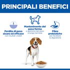 Hill's Science Plan Dog Perfect Weight Medium con Pollo 2 kg