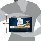 Gourmet Perle Cat Adult Trionfo di Salsa Tonno e Salmone 4 x 85 gr