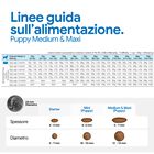 N&D Farmina Ancestral Grain Puppy Medium & Maxi Agnello e Mirtillo 2,5 kg