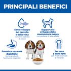 Hill's Science Plan Dog Puppy Medium con Agnello e Riso 14 kg