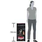 Purina Pro Plan Dog Puppy Medium Sensitive Skin Salmone 12Kg