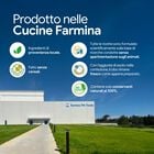 N&D Farmina Pumpkin Dog Adult Medium & Maxi Cinghiale e Mela 12 kg
