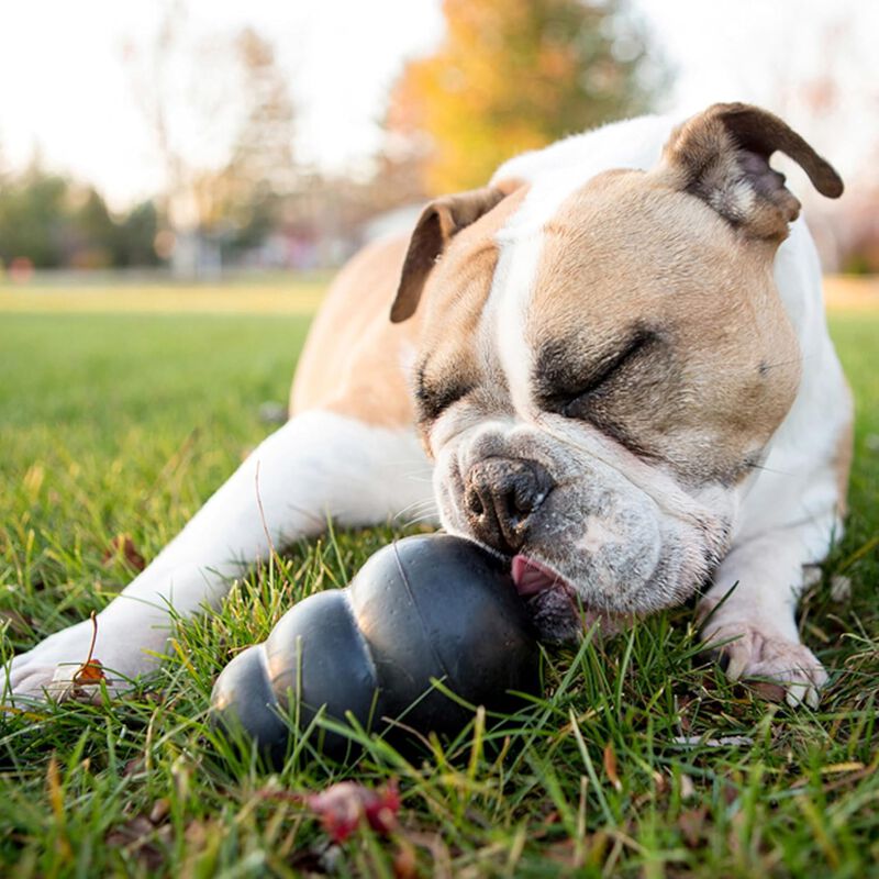 Kong Extreme Gioco da mordere per cani L Nero 1 pz