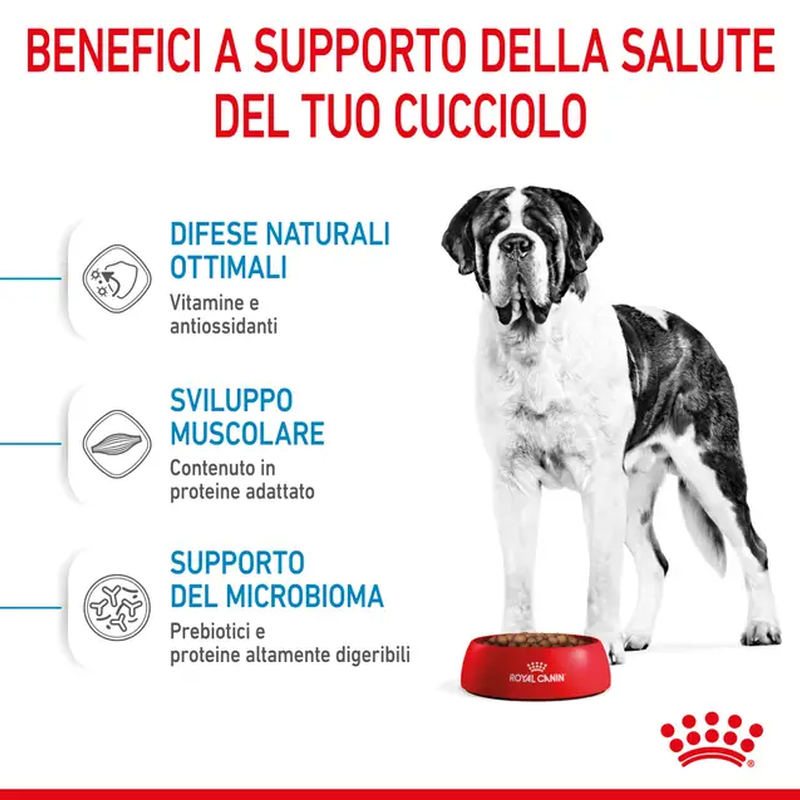 Royal Canin Dog Giant Junior 15 kg