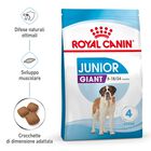 Royal Canin Dog Giant Junior 15 kg