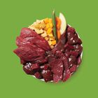Lily's Kitchen Dog Adult Venison Wild Boar Terrine con Patate Zucca e Fagioli Verdi 400 gr