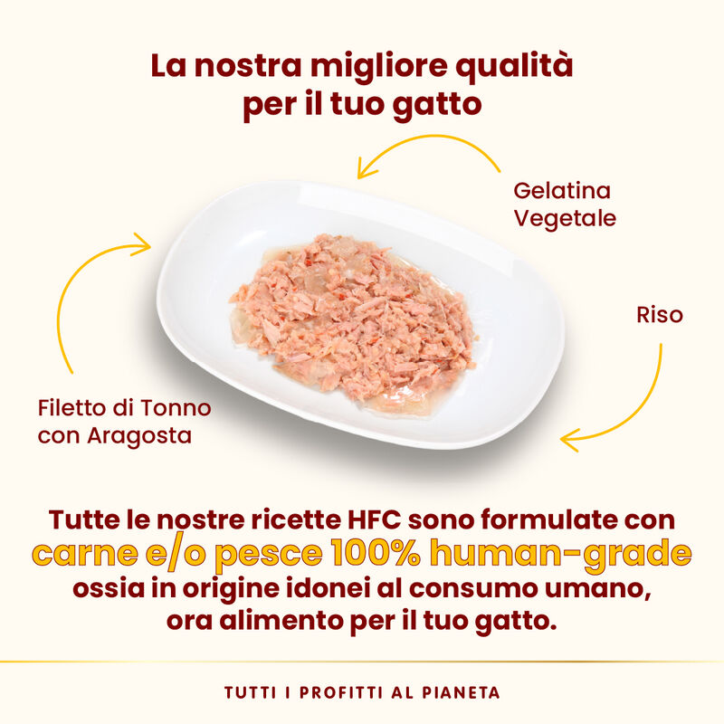 Almo Nature HFC Jelly Filetto di Tonno con Aragosta 55g