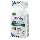 Monge VetSolution Dog Obesity 2 kg