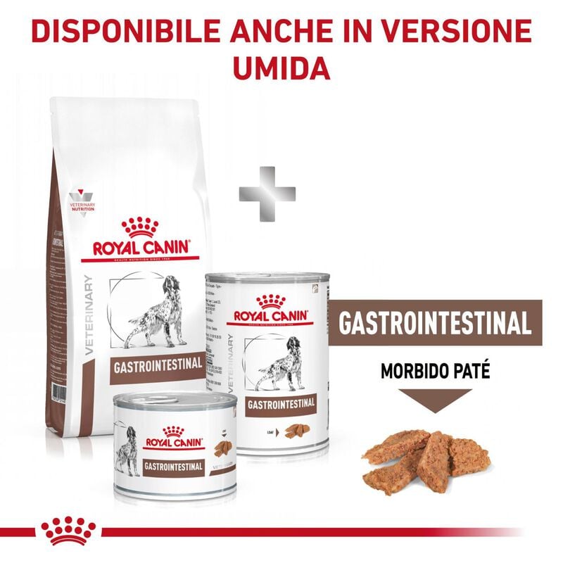 Royal Canin Veterinary Diet Dog Gastrointestinal 15 kg