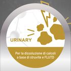 Forza 10 Active Vet Diet Urinary per gatti adulti al Pesce 1,5 kg