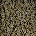 Sera Tortoise Adult Herbivore Duo Pellets 250 ml
