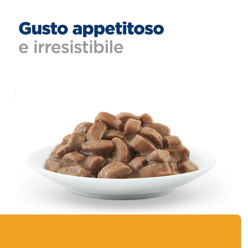 Hill's Prescription Diet Cat c/d Multicare Urinary Care con Salmone 85 gr