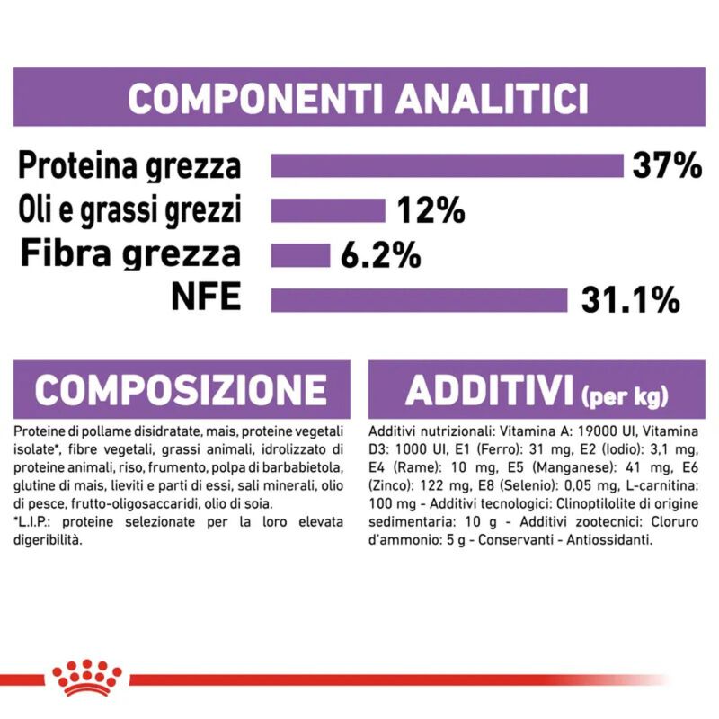 Royal Canin Cat Adult Sterilised 37 10 + 2kg omaggio
