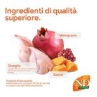 N&D Farmina Pumpkin Neutered Cat Quaglia e Melograno 300 gr