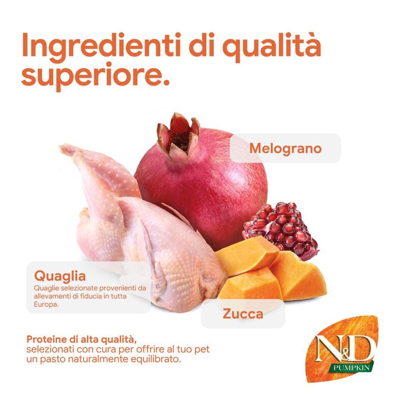 N&D Farmina Pumpkin Neutered Cat Quaglia e Melograno 300 gr