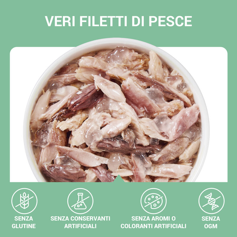 Schesir Cat Tonnetto in Gelatina 70 g