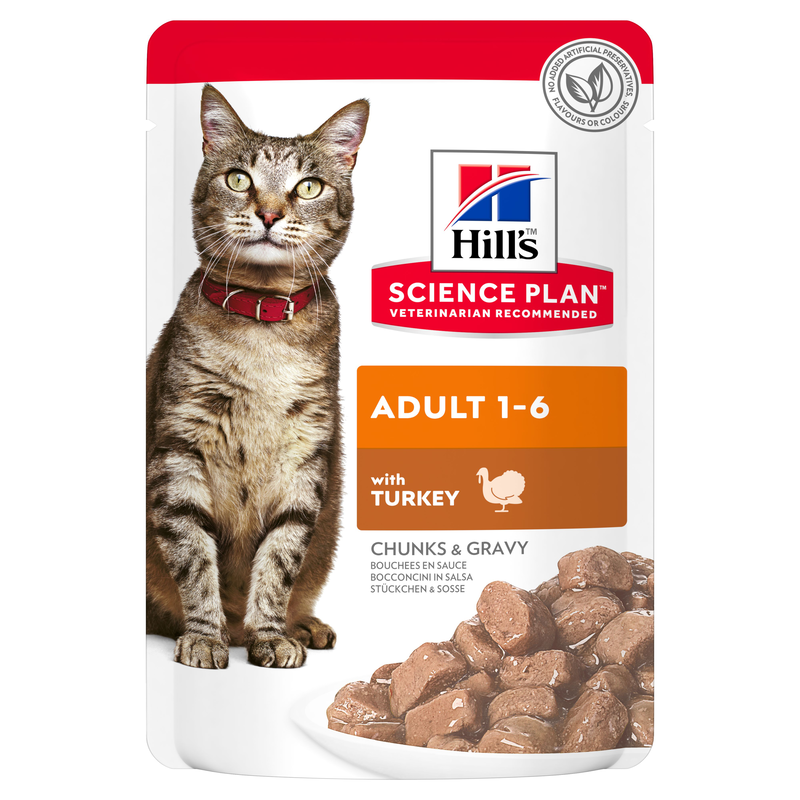 Hill's Science Plan Cat Adult con Tacchino Bustina 85 gr