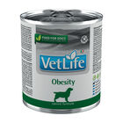 Farmina Vet Life Diet Dog Obesity 300 Gr image number 0