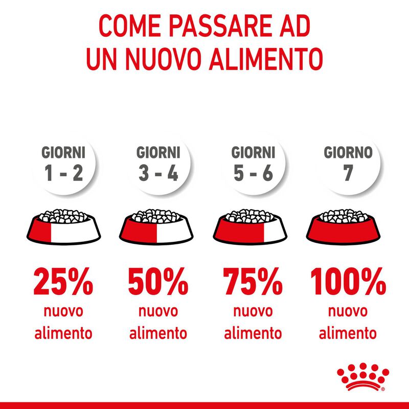 Royal Canin Cat Kitten 400 gr