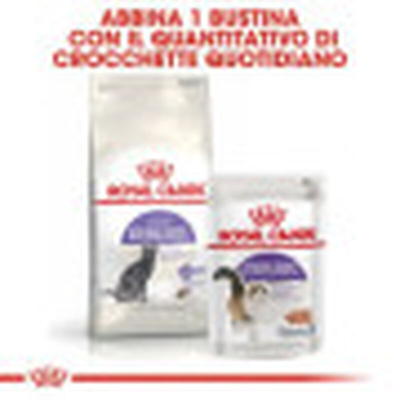 Royal Canin Cat Adult Sterilised 37 10 kg