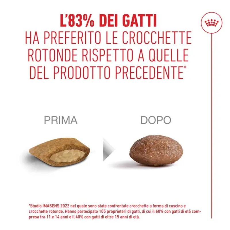 Royal Canin Cat Senior +15 anni 400gr