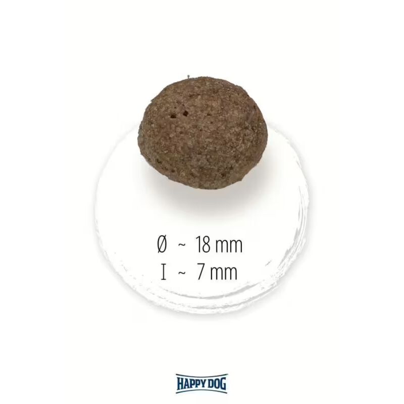 Happy Dog NaturCroq Salmone e riso 4 kg