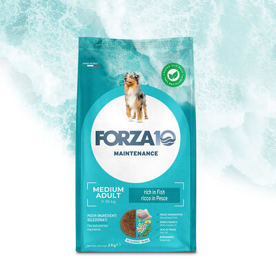 Forza10 Dog Medium Adult Maintenance al Pesce 2 kg