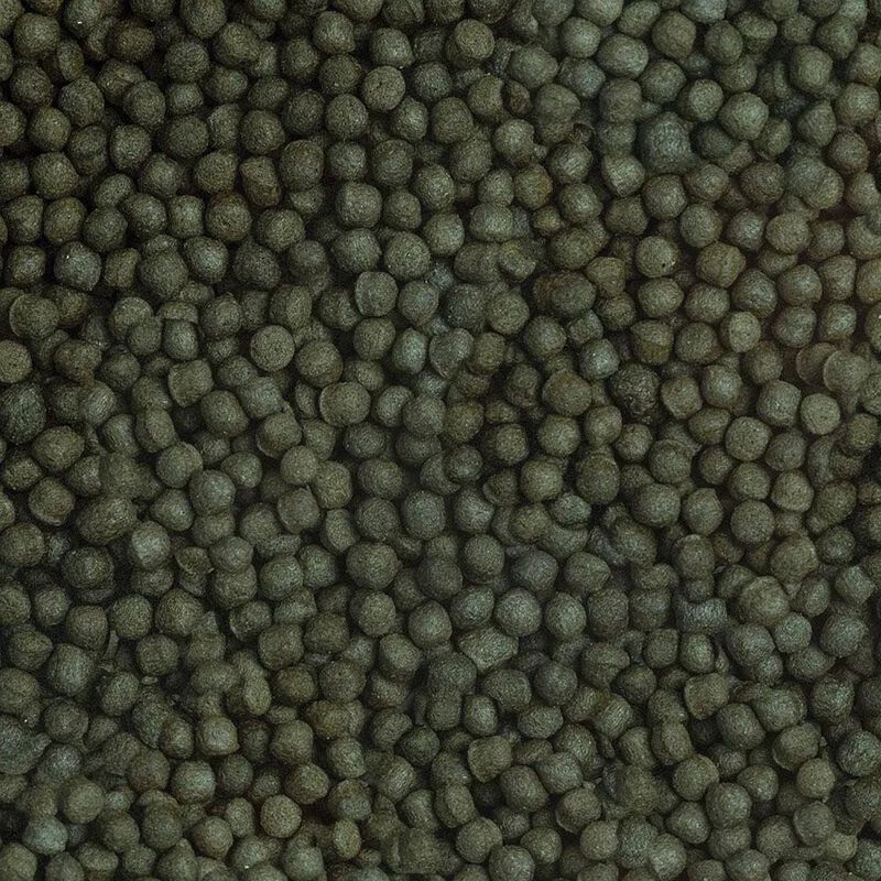 Sera Koi Professional Winter 500 gr