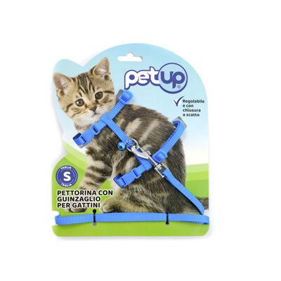 Petup Pettorina con Guinzaglio Kitten 8mm Blu