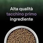 Purina Pro Plan LiveClear Cat Kitten ricco In Tacchino 1,4 kg