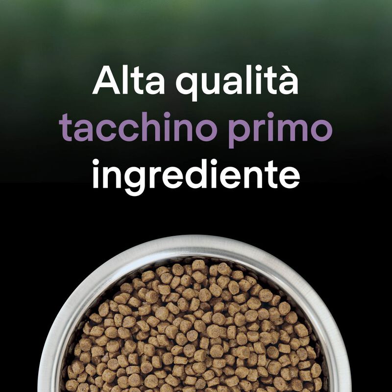 Purina Pro Plan LiveClear Cat Kitten ricco In Tacchino 1,4 kg