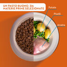 Monopro Dog Adult Mini Grain Free Anatra 800 gr