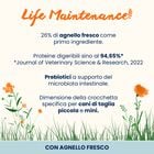 Almo Nature Life Maintenance Crocchette per cani adulti Tg S Salmone 2 kg