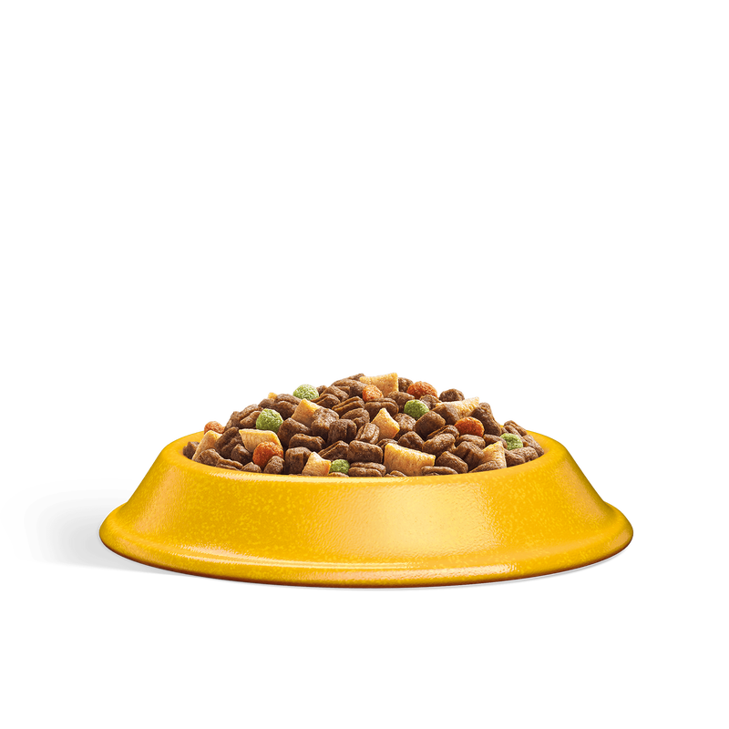 Whiskas Cat Adult 1+ al Pollo 300 gr