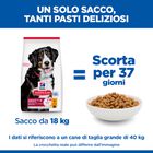 Hill's Science Plan Dog Large Breed Adult al Pollo 14 kg
