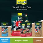 Tetra Pond KOI Sticks 1 lt