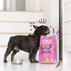 Edgard & Cooper Dog Adult Cervo e Anatra 2,5 kg