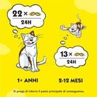 Catisfactions Variety Box Snack gusti assortiti 12x60 gr