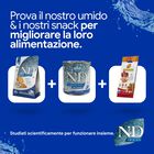 N&D Farmina Ocean Dog Adult Medium & Maxi Merluzzo, Zucca & Arancia 2,5 kg