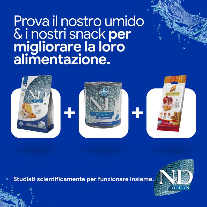 N&D Farmina Ocean Dog Adult Medium & Maxi Merluzzo, Zucca & Arancia 2,5 kg