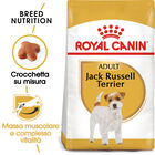 Royal Canin Dog Adult e Senior Jack Russell 1,5 kg