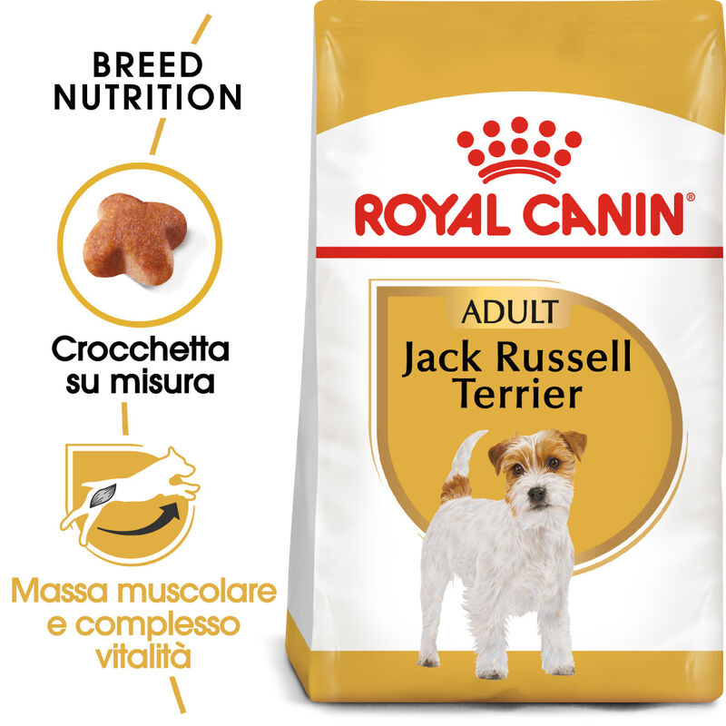 Royal Canin Dog Adult e Senior Jack Russell 1,5 kg