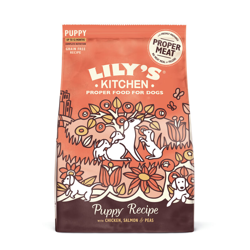 Lily's Kitchen Dog Puppy Pollo e Salmone 2,5 kg