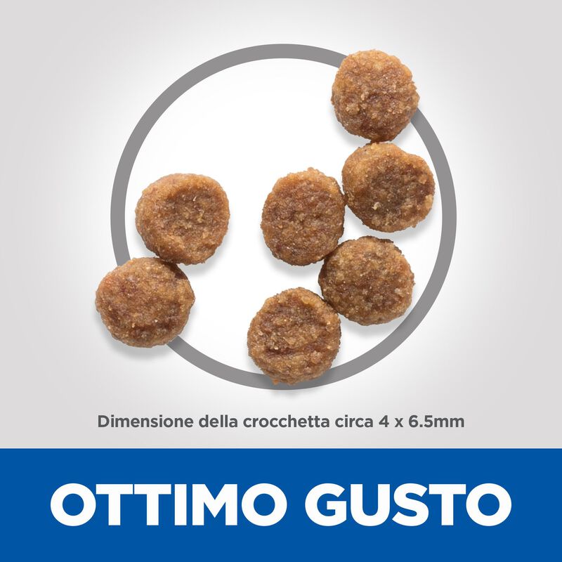 Hill's Science Plan  Small & Mini Dog Puppy con Pollo 1,5 kg 