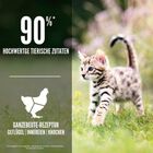 Orijen Kitten Pollo Tacchino e Salmone 340 gr
