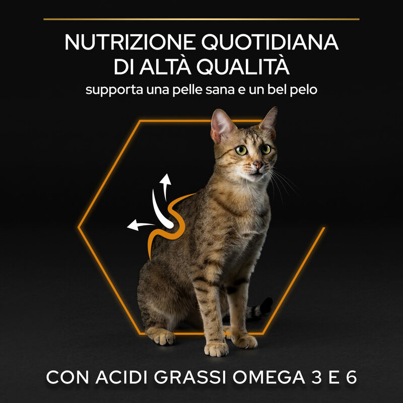 Purina Pro Plan Cat Adult Derma Care Salmone 1,5 kg